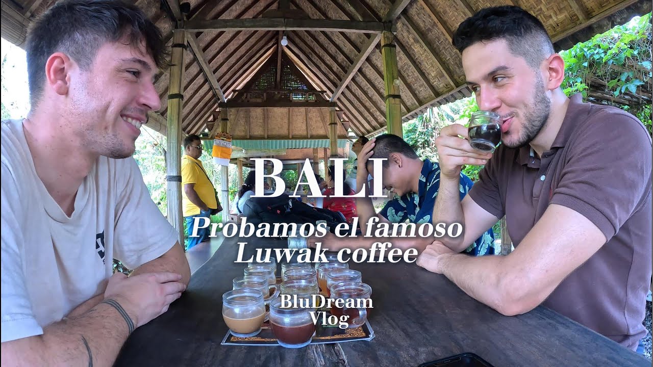 Probamos el caf&eacute; mas caro del mundo, el famoso caf&eacute; de caca de Luwak | Travel Vlog Ubud Bali | 4K