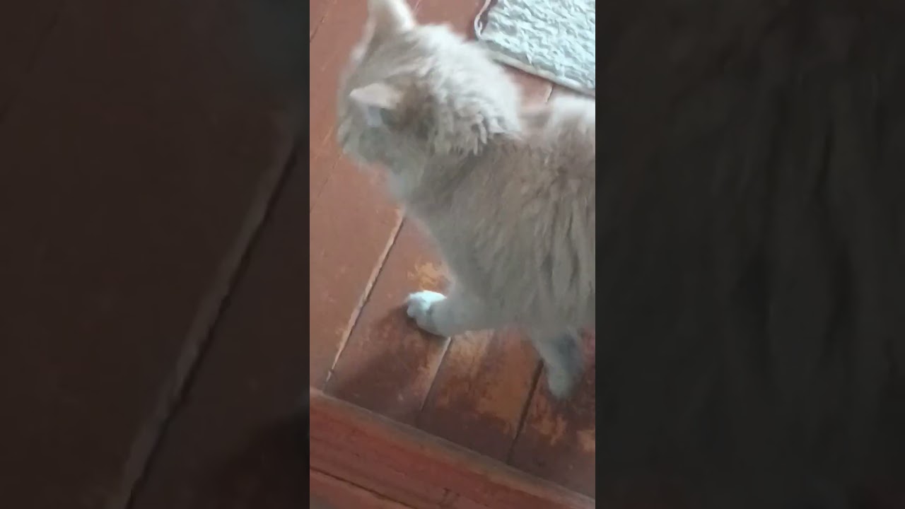 ох, нет