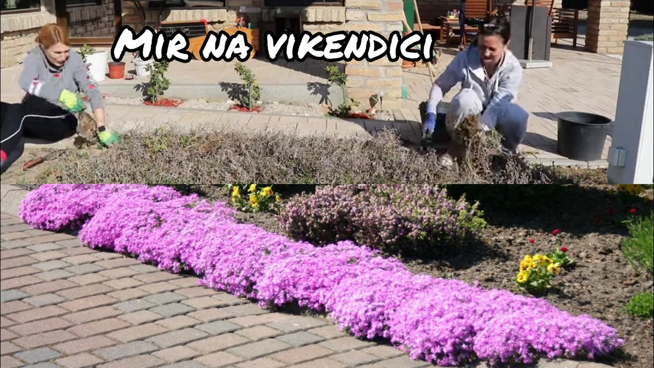 👉 Vikendica, cveće i životne priče | Dva domaća recepta
