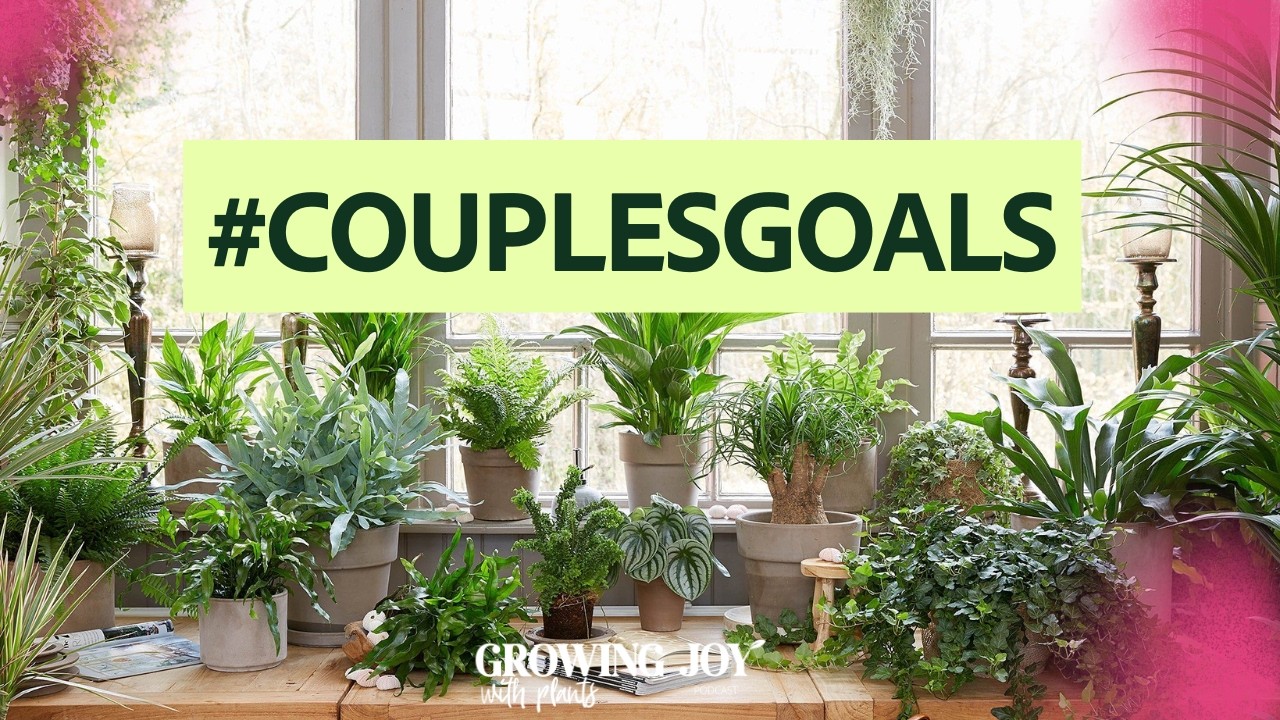 Growing a plant business, a marriage and a community of plant parents with @mrstannertheplanter!