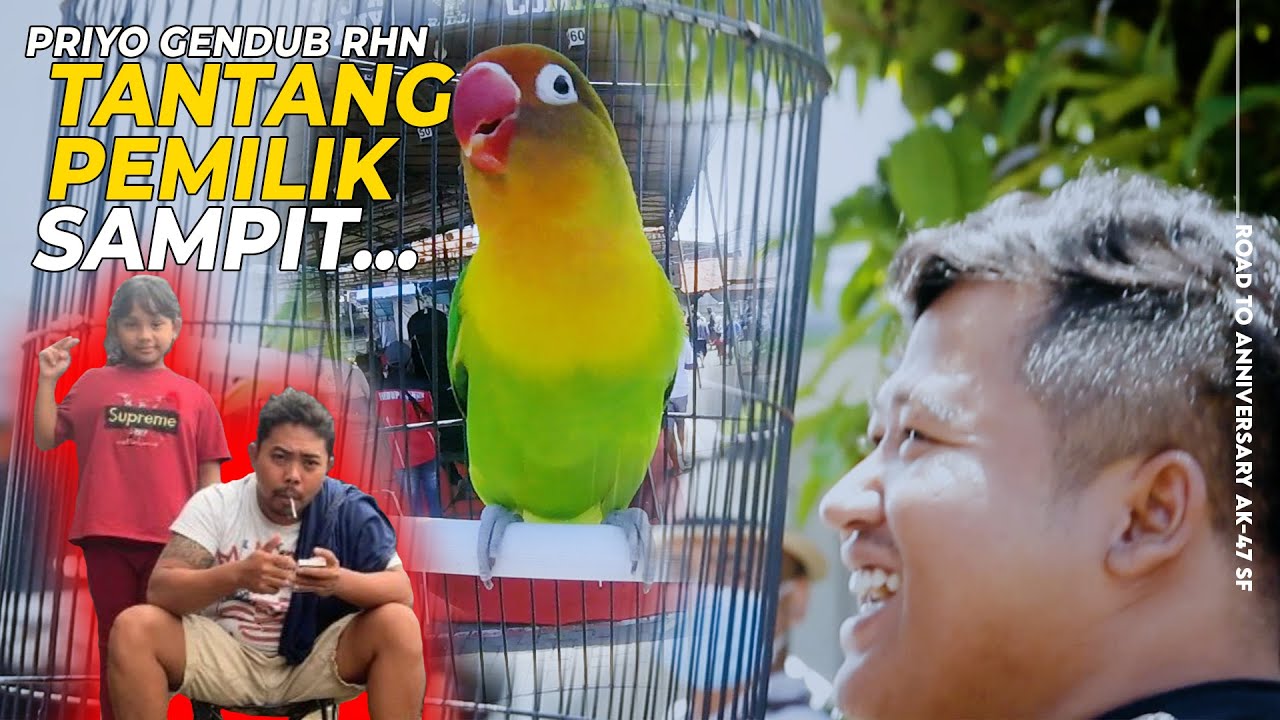 PRIYO GENDUB RHN TANTANG SULTAN KARAWANG!! TERBONGKAR INI RAHASIA SAMPIT 2 TAHUN STABIL JUARA
