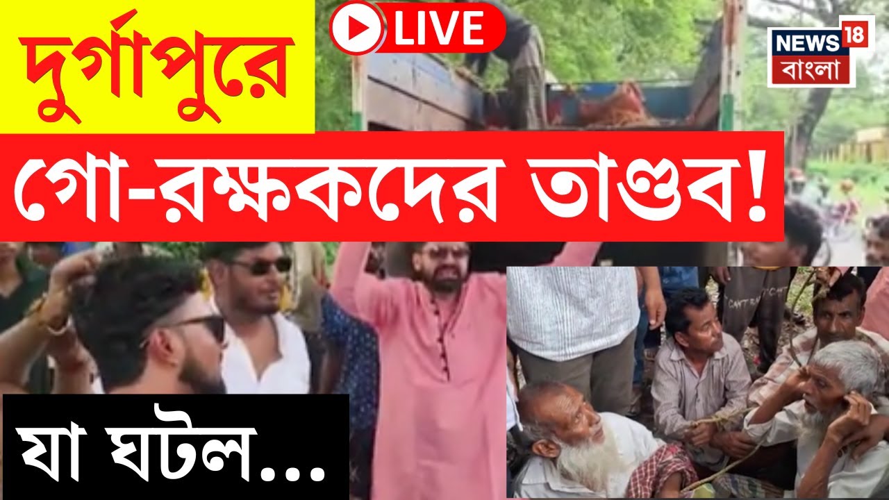 Durgapur News LIVE | দুর্গাপুরে গরু বোঝাই গাড়ি আটকে হামলা, যা ঘটল... | Bangla News