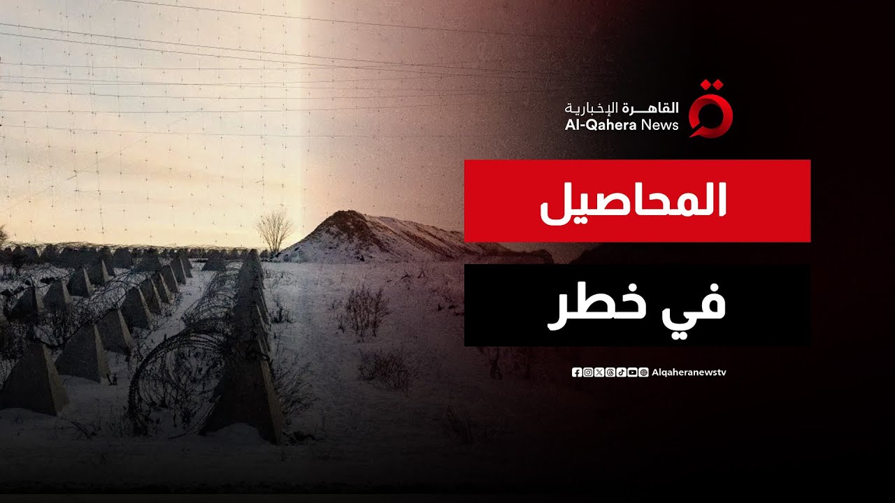 كارثة في طبق الطعام .. كيف يهدد شتاء 2026 ميزانية الغذاء؟ | صباح جديد