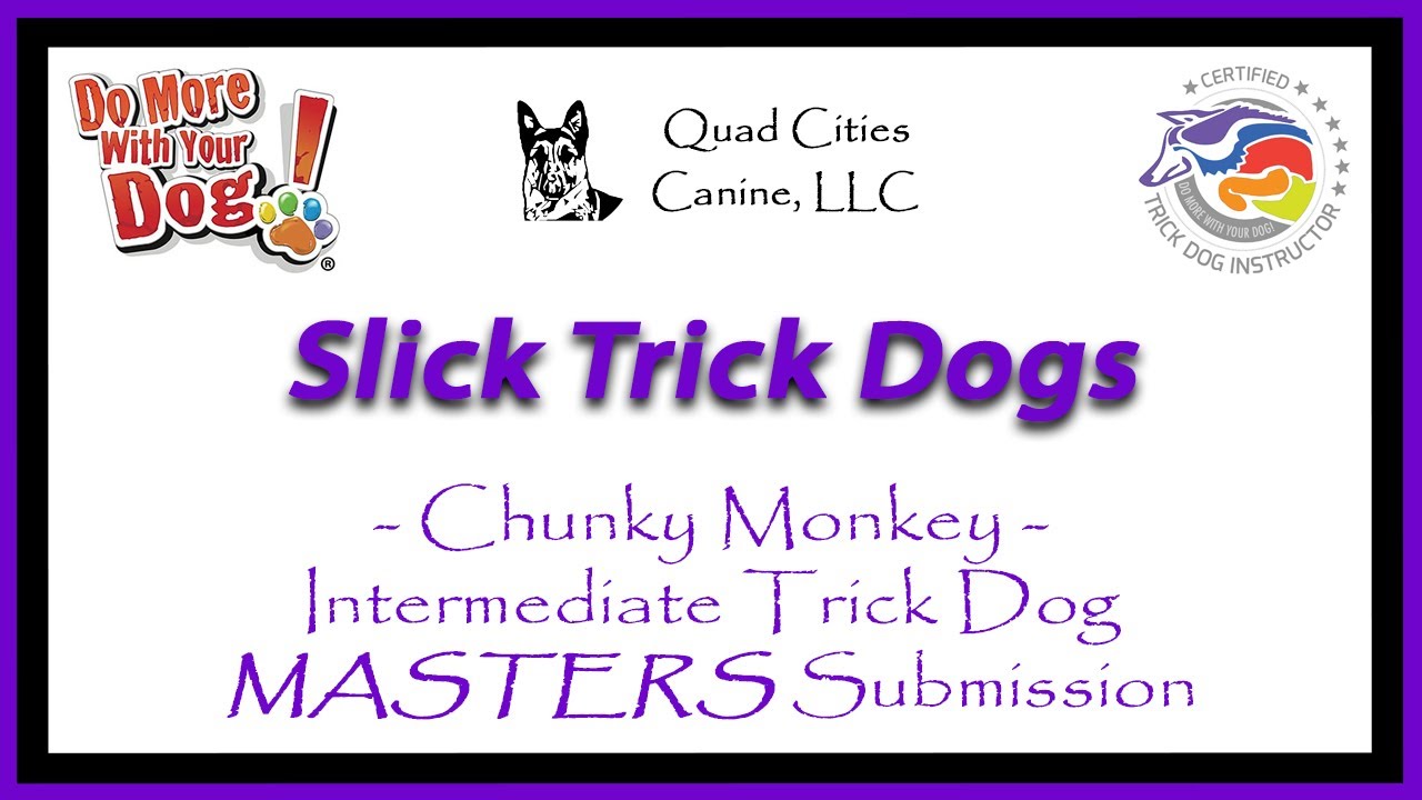 Chunky Monkey's ITD Masters Submission