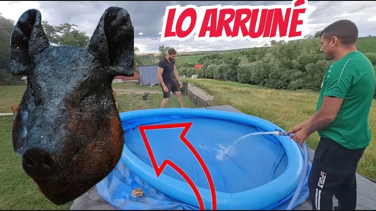 ¡Cocinamos cabeza de cerdo y subimos una alberca al techo en La Casita del Bosque!