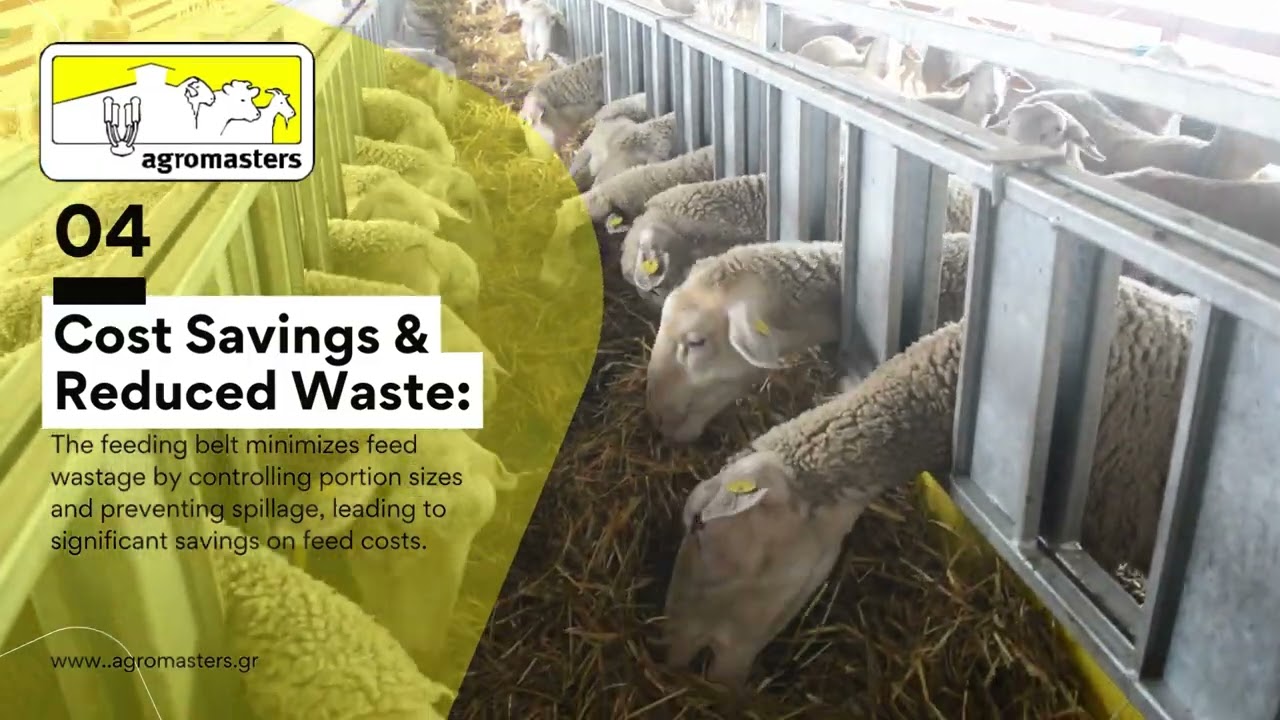 Feeding Belt for sheep & goats Agromasters