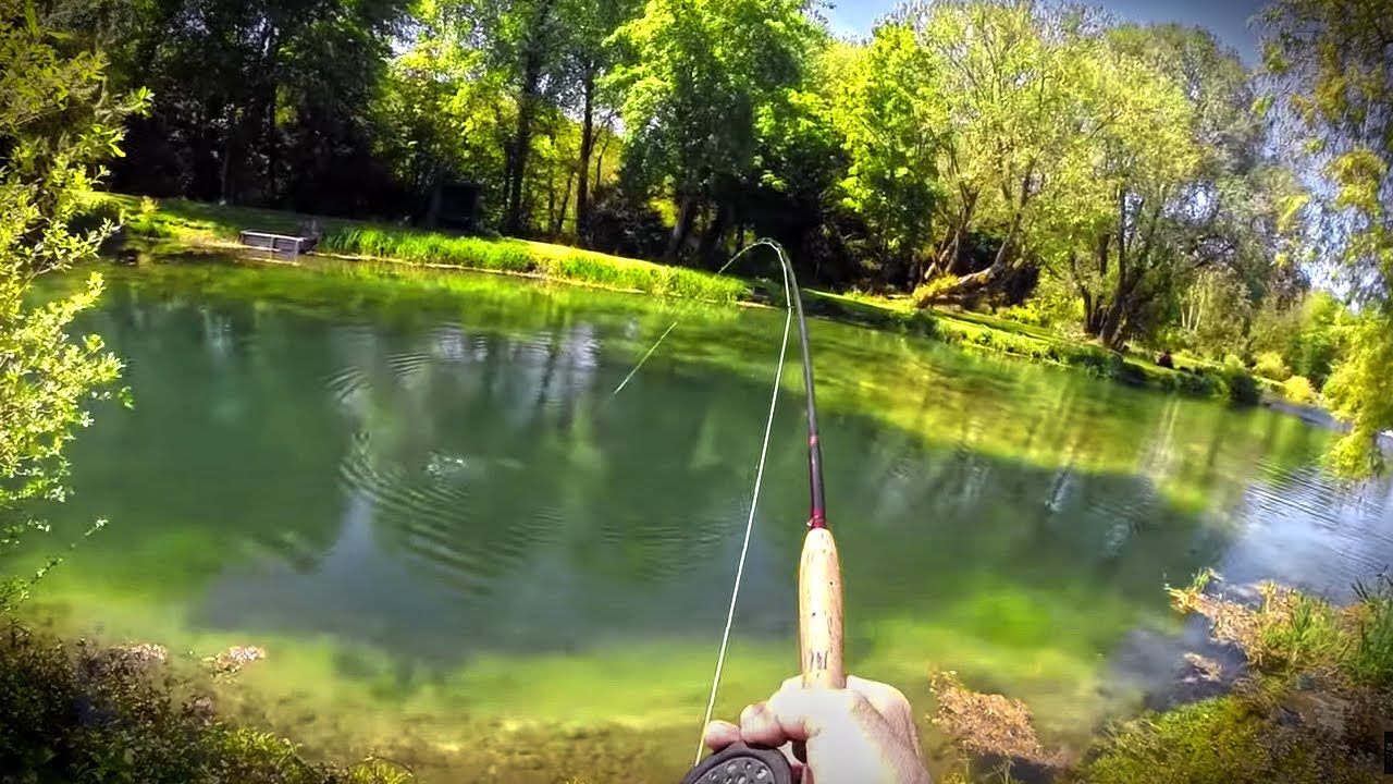 Fishing SUPER CLEAR WATER!