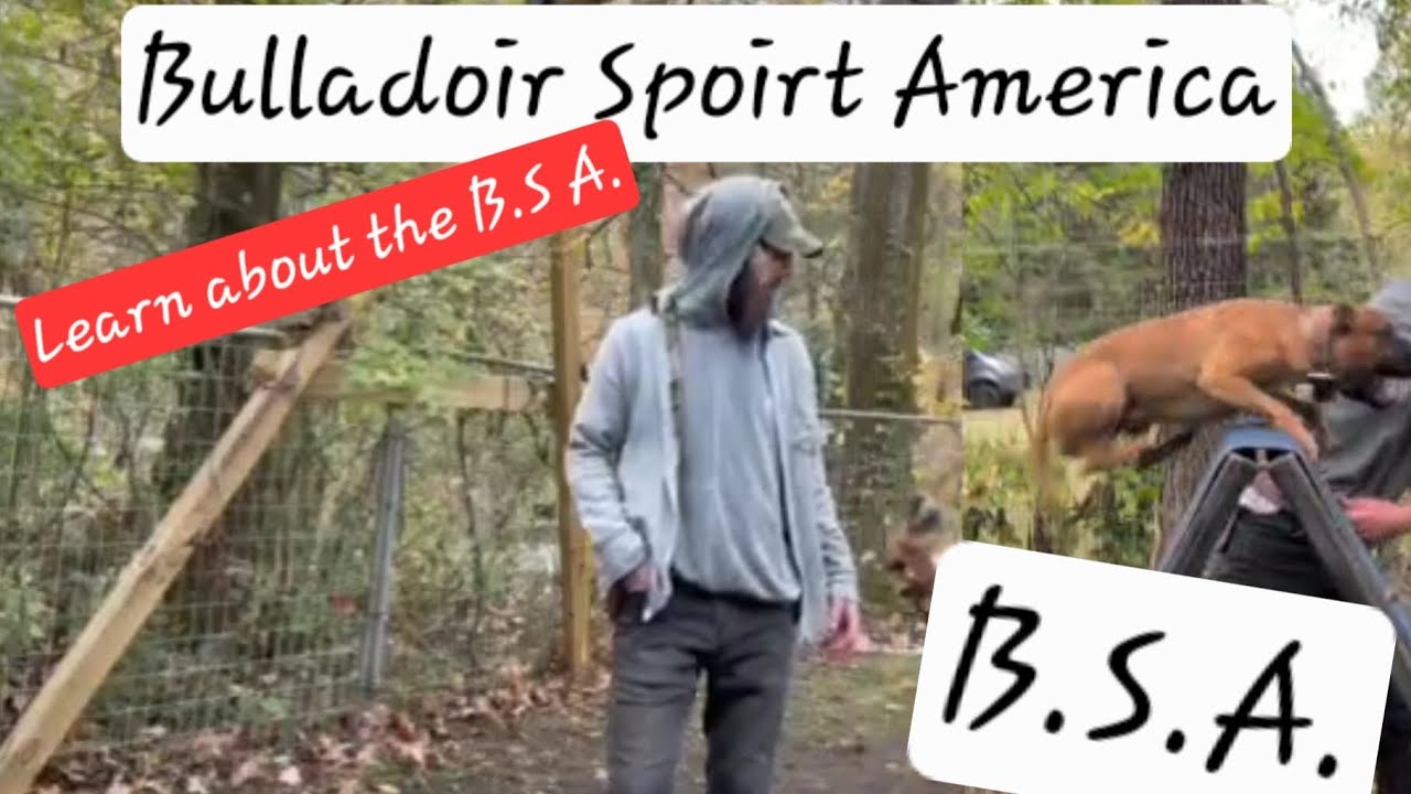 Bulldozer Sports America 🇺🇸