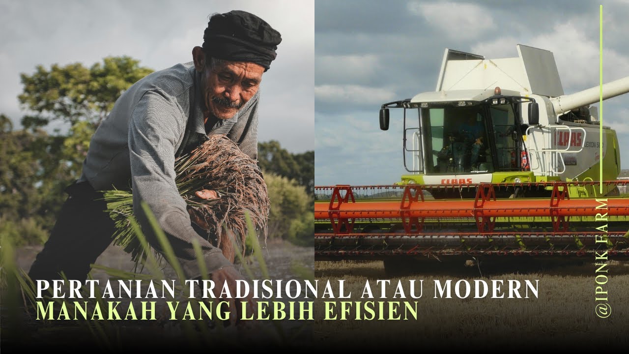 Pertanian Tradisional vs Modern: Mana yang Lebih Efisien?