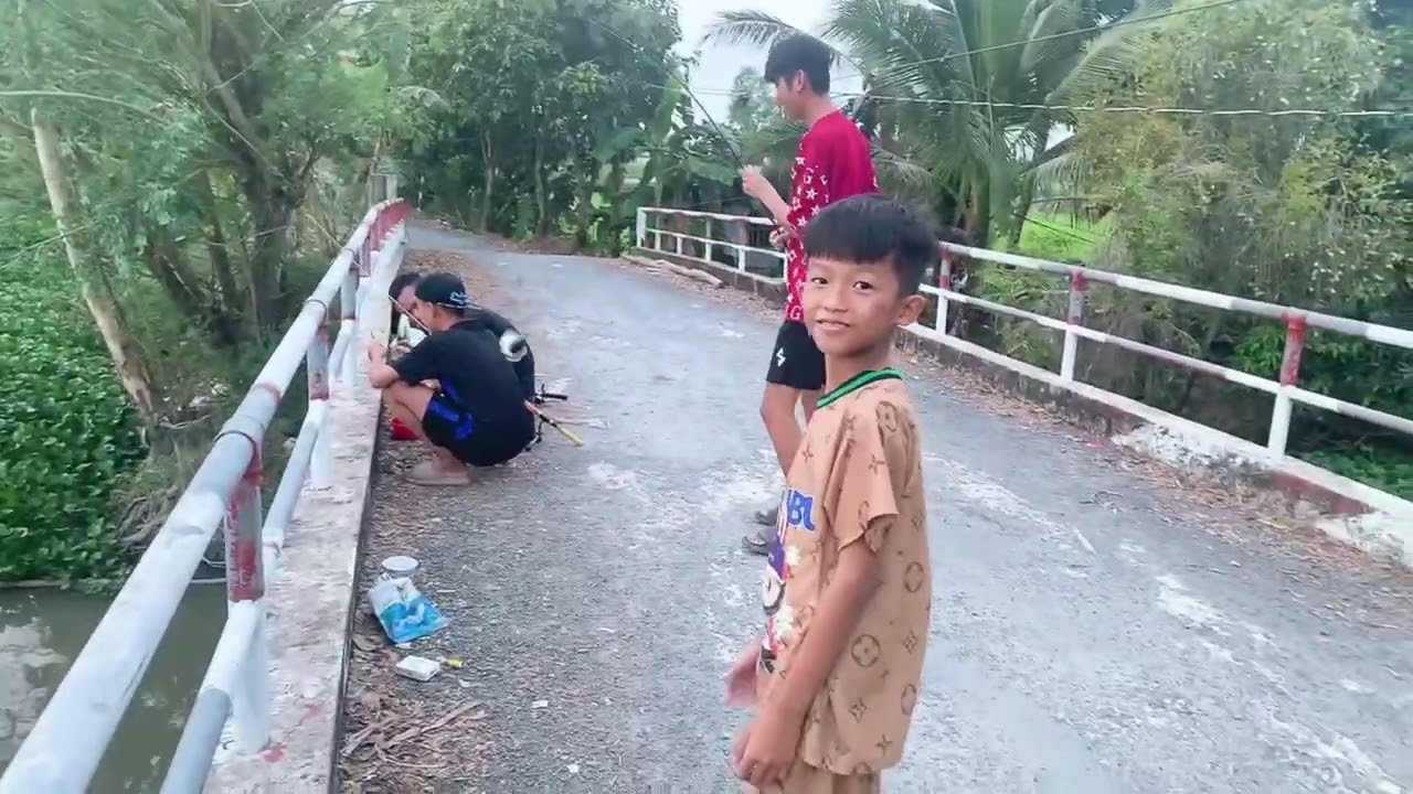 Câu cá chốt gần rừng tràm#mẩn #fishing #mientay 