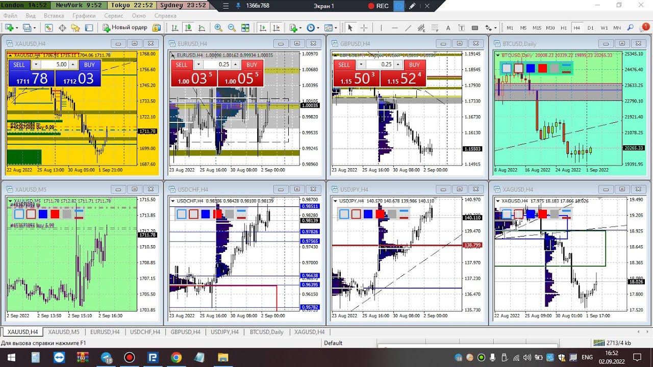 SCOLARIZARE PROFESIONALA  IN DOMENIUL TRADING