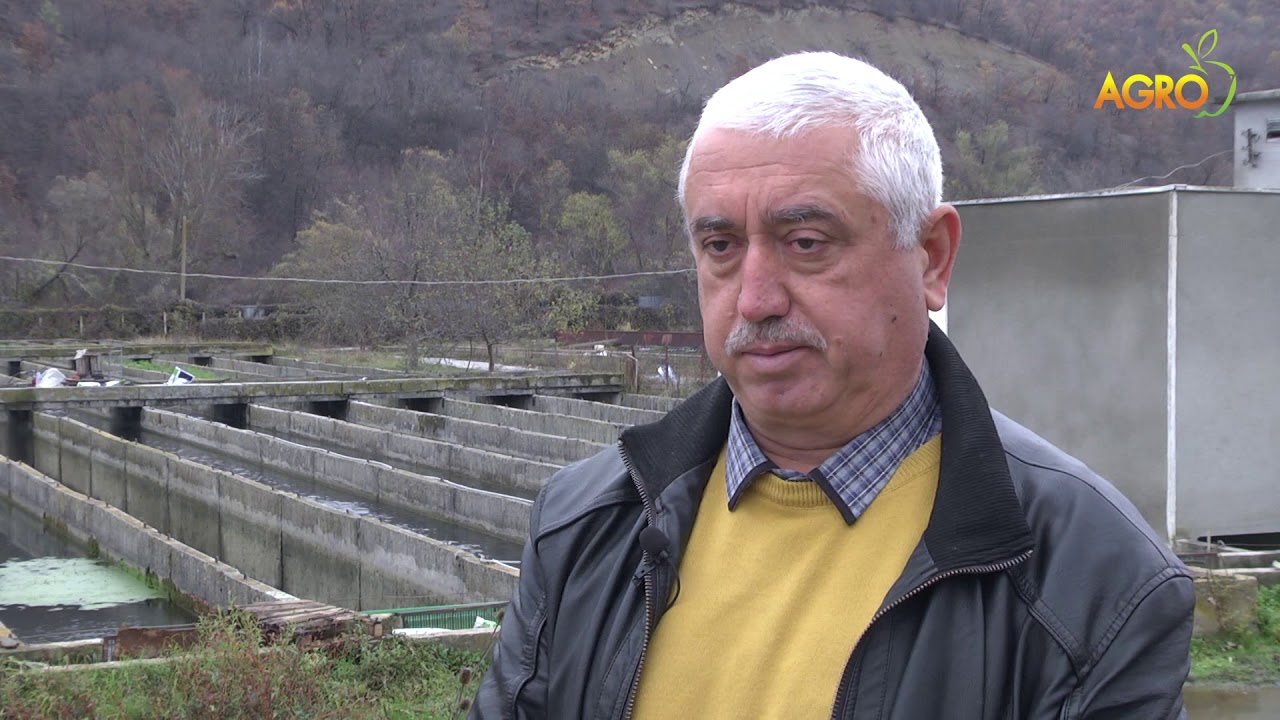 Животновъден дневник: Отглеждане на пъстърва в Златна Панега, автор: Мирела Спасова