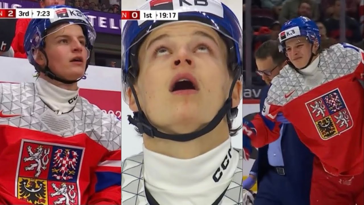 PETR SIKORA X KANADA! Nenávist proudí v žilách kanaďanů [#canada | #narodnitym | #sestřih ]
