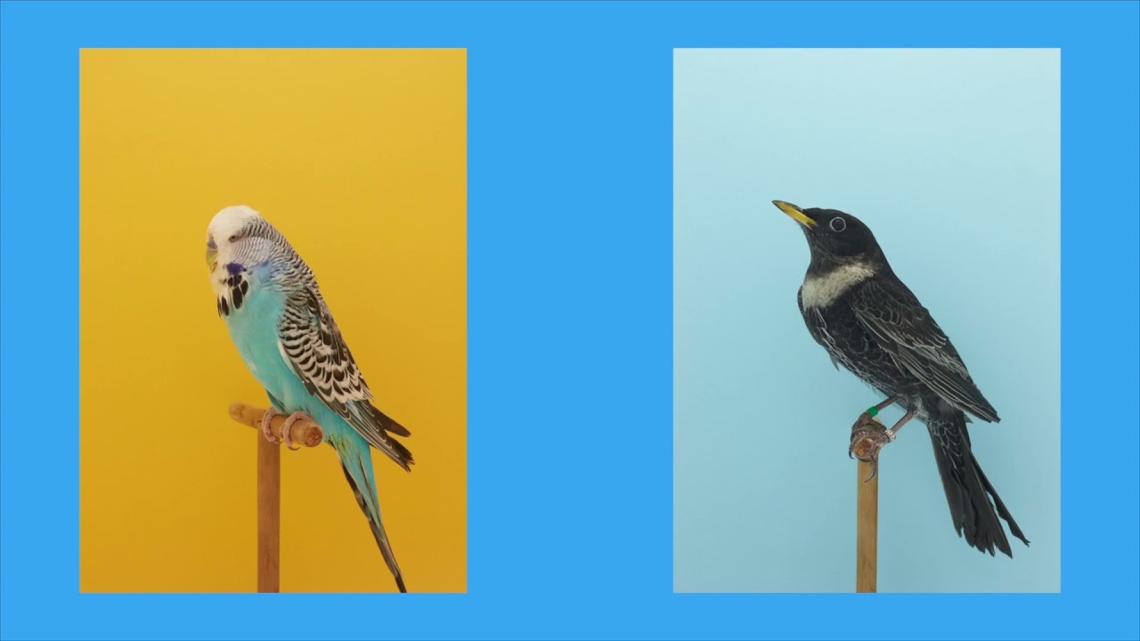 Photographer, Luke Stephenson