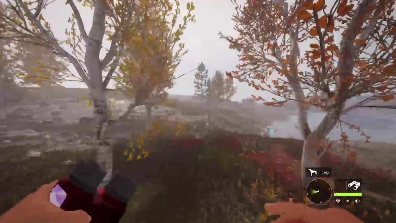 Grinding and hunting for fun