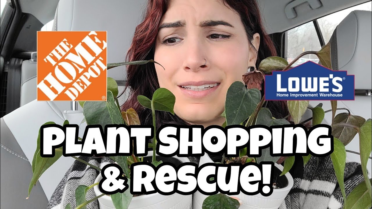 Plant Shopping & Rescuing Clearance Plants!! 🌿 Home Depot and Lowe's in Manchester CT 🖤