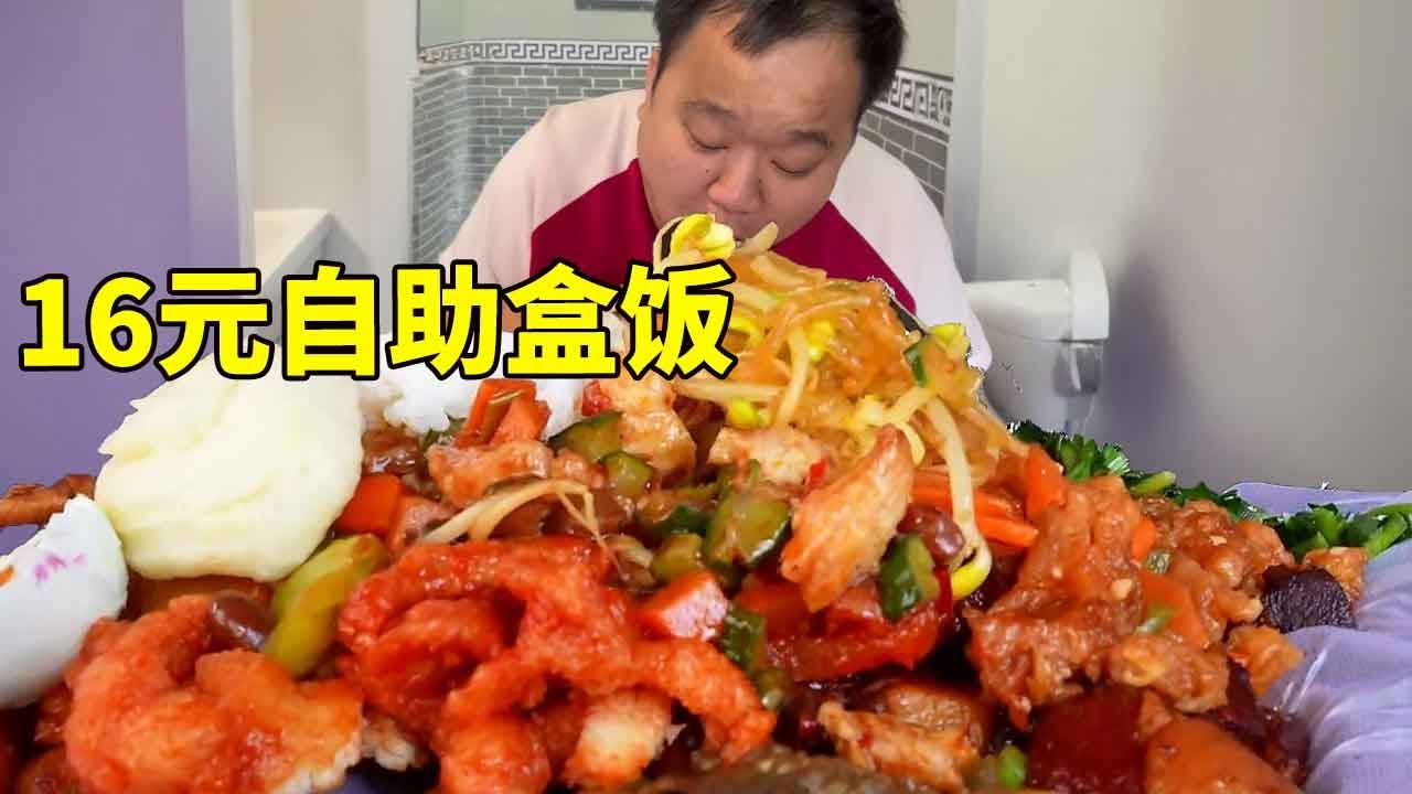 千万不要在东北餐厅说吃不饱，下场就和老张一样了，16元的东北盒饭太香了！#自助餐#南北差异#吃货日常