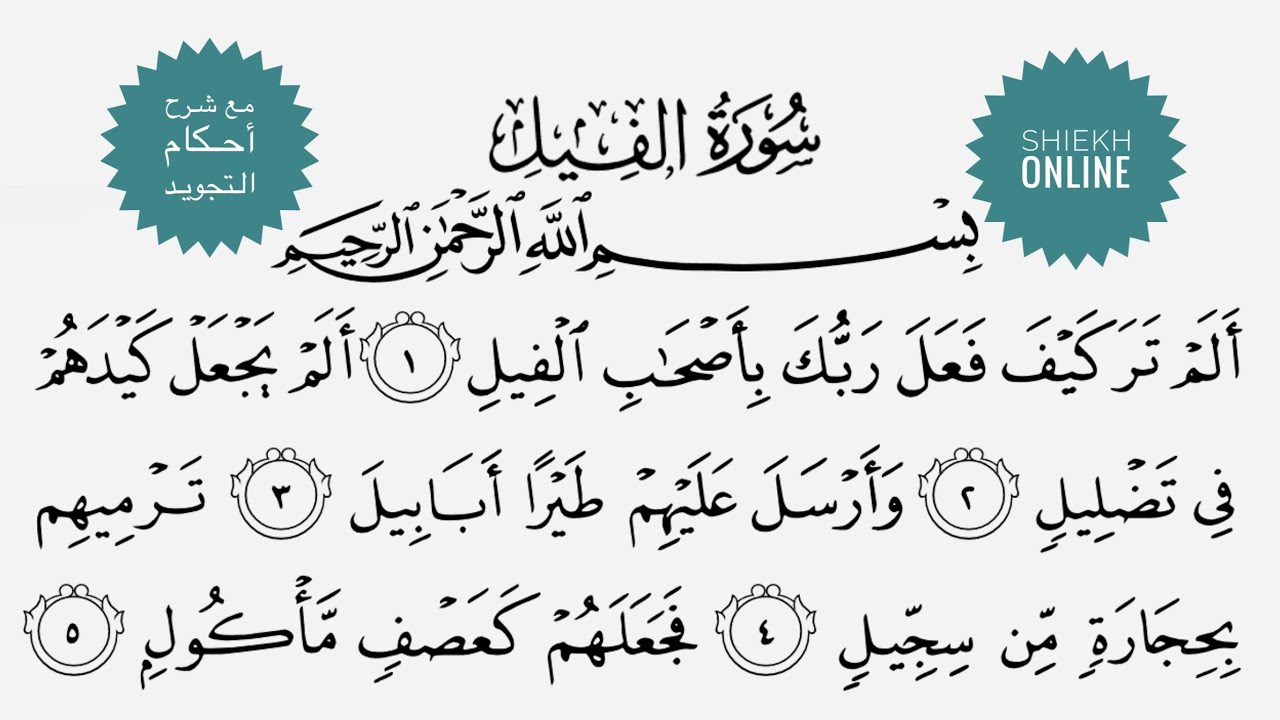 تعلم قراءة سورة الفيل مع شرح أحكام التجويد