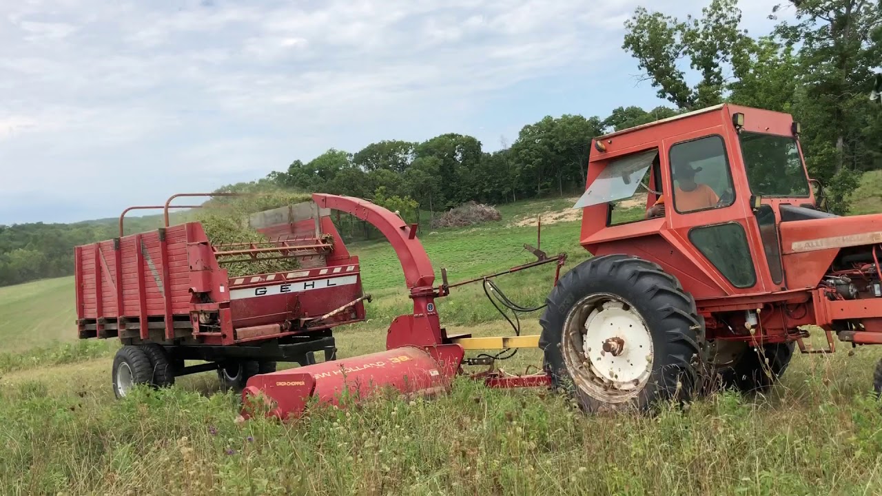 Allis Chalmers Chopping Haylage with New Holland Flail Chopper