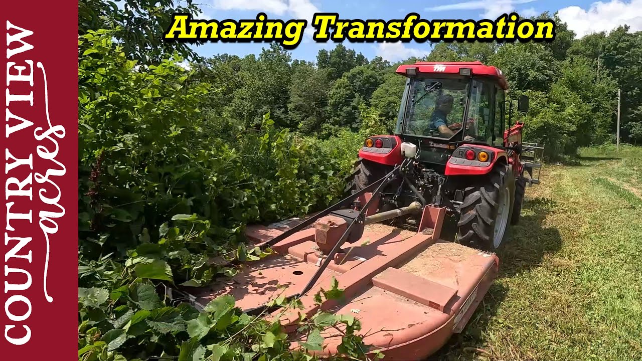 Clearing out overgrown Fence line.  The Grapple and Rotary cutter make Easy work of it.