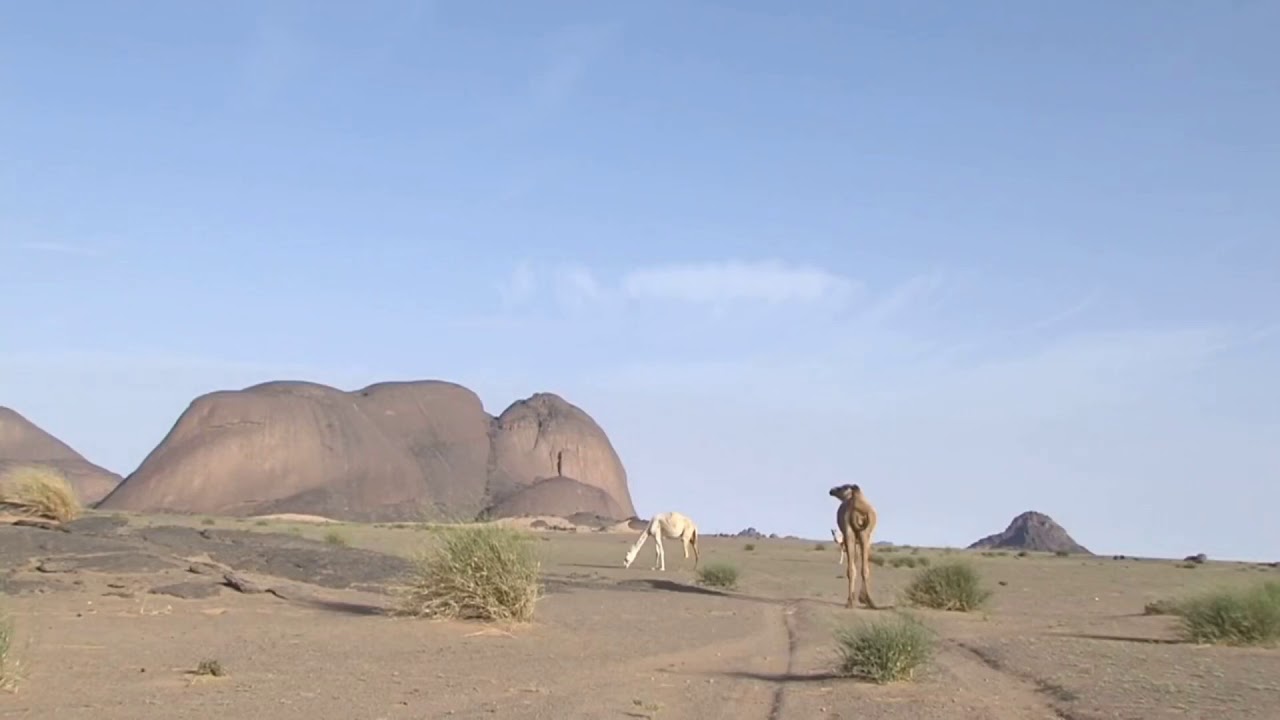 نسيم الصباء ديمي  و سدوم خوه