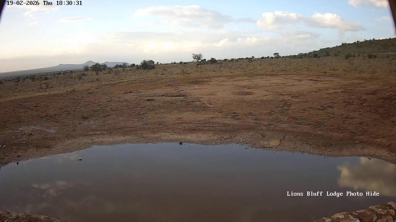 Lions Bluff Lodge Photo Hide - Live Stream