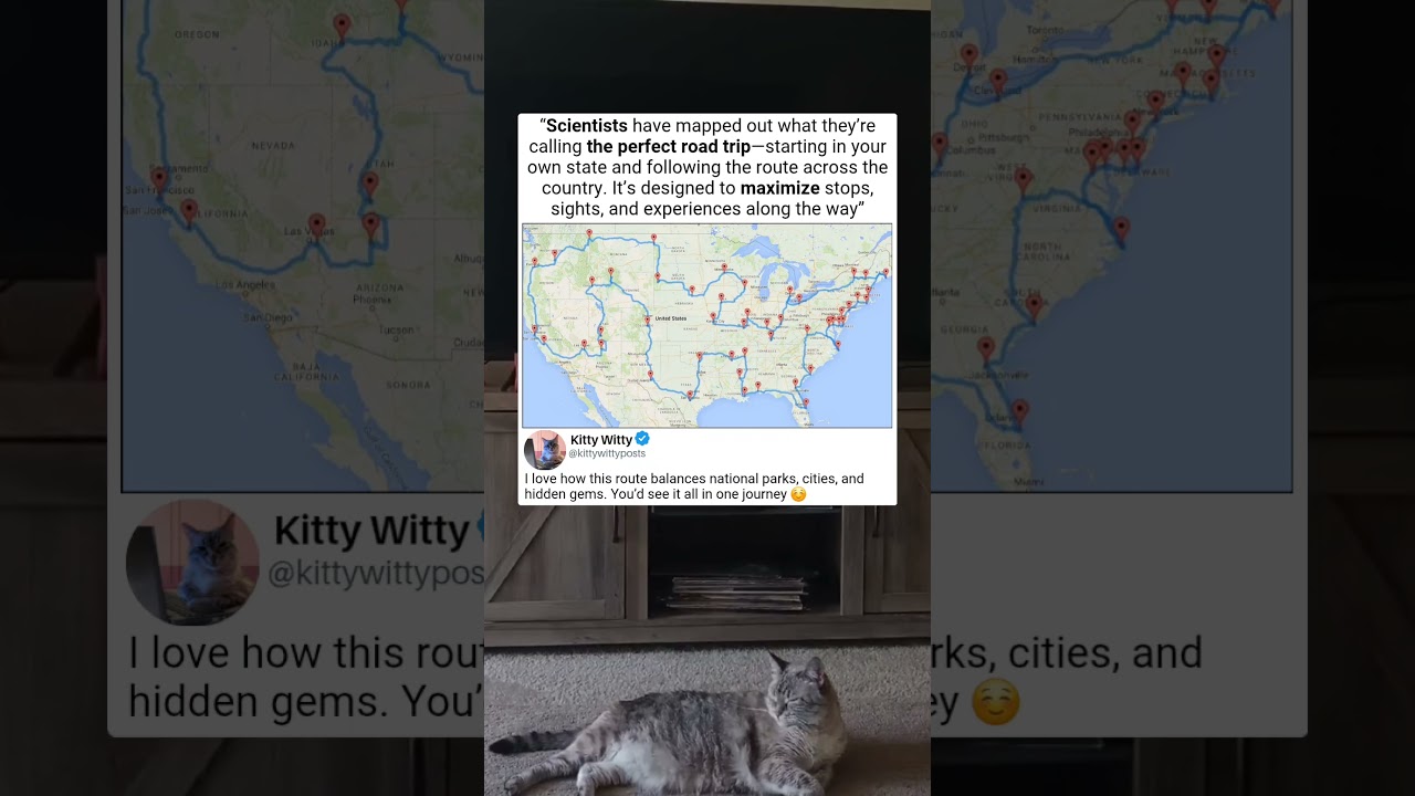 ROAD TRIP MAP 🛣️ Scientists Say This Is the &ldquo;Perfect&rdquo; U.S. Route