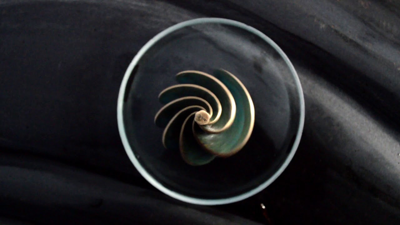 Zephyr spinning top warping at high speed