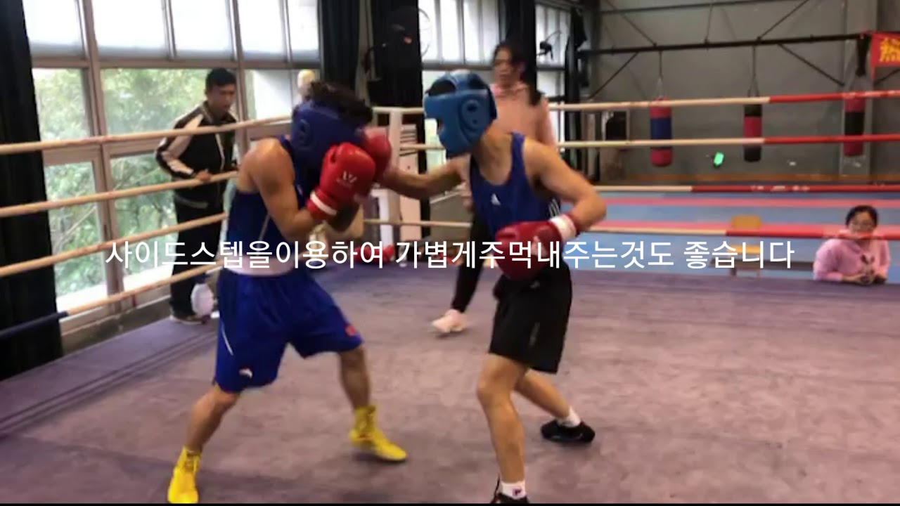 복싱 신종훈 다양한 스타일 스파링영상 기술