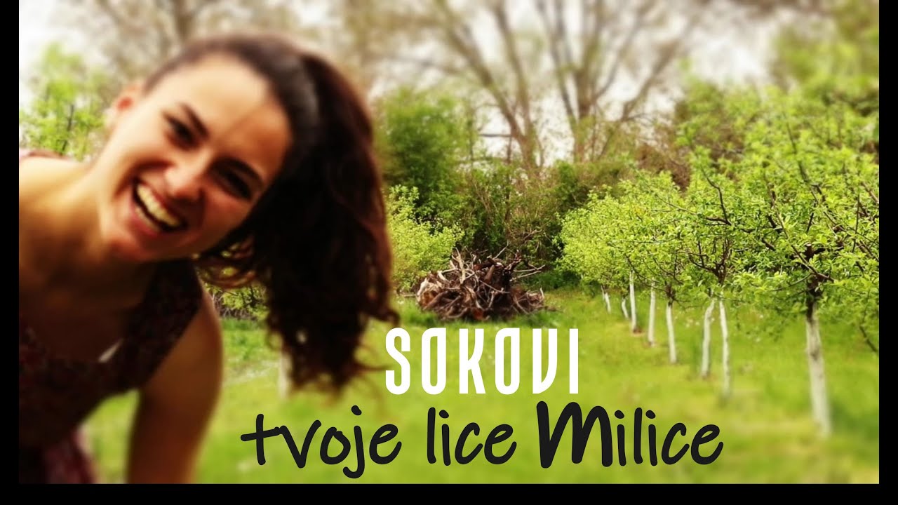 SOKOVI - Tvoje lice Milice