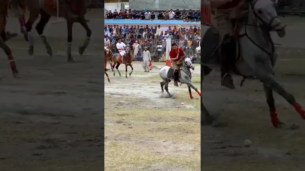 #polo #RoyalGame #Gilgitpolo