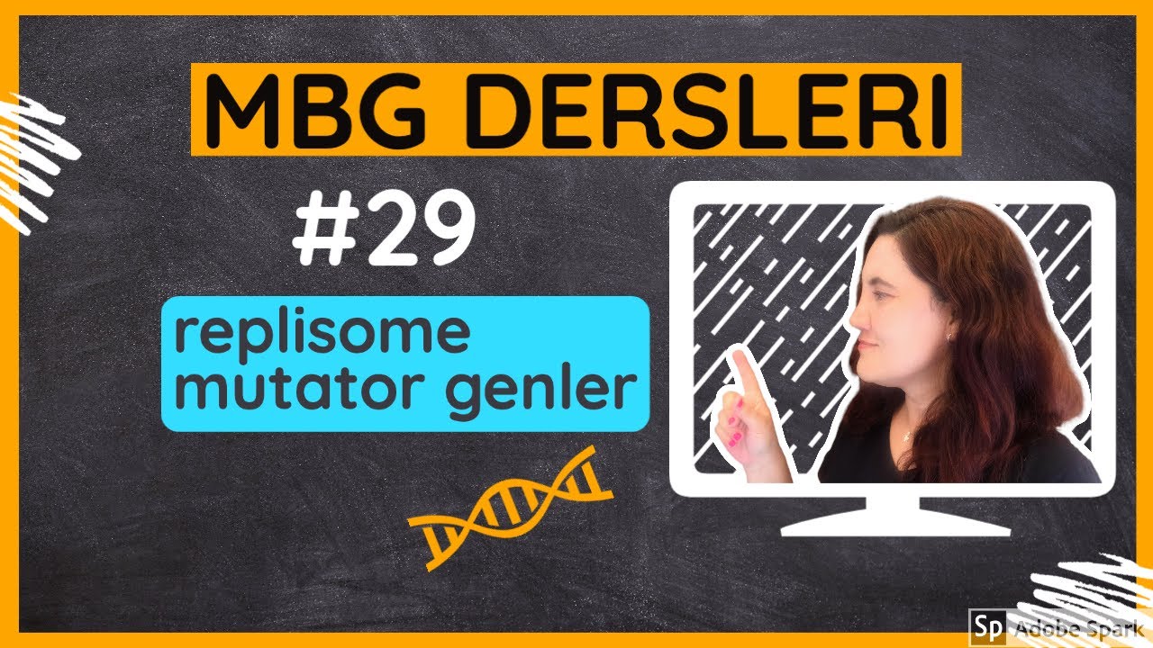 Moleküler Biyoloji ve Genetik Dersleri #29: Replisome ve Mutator Genler