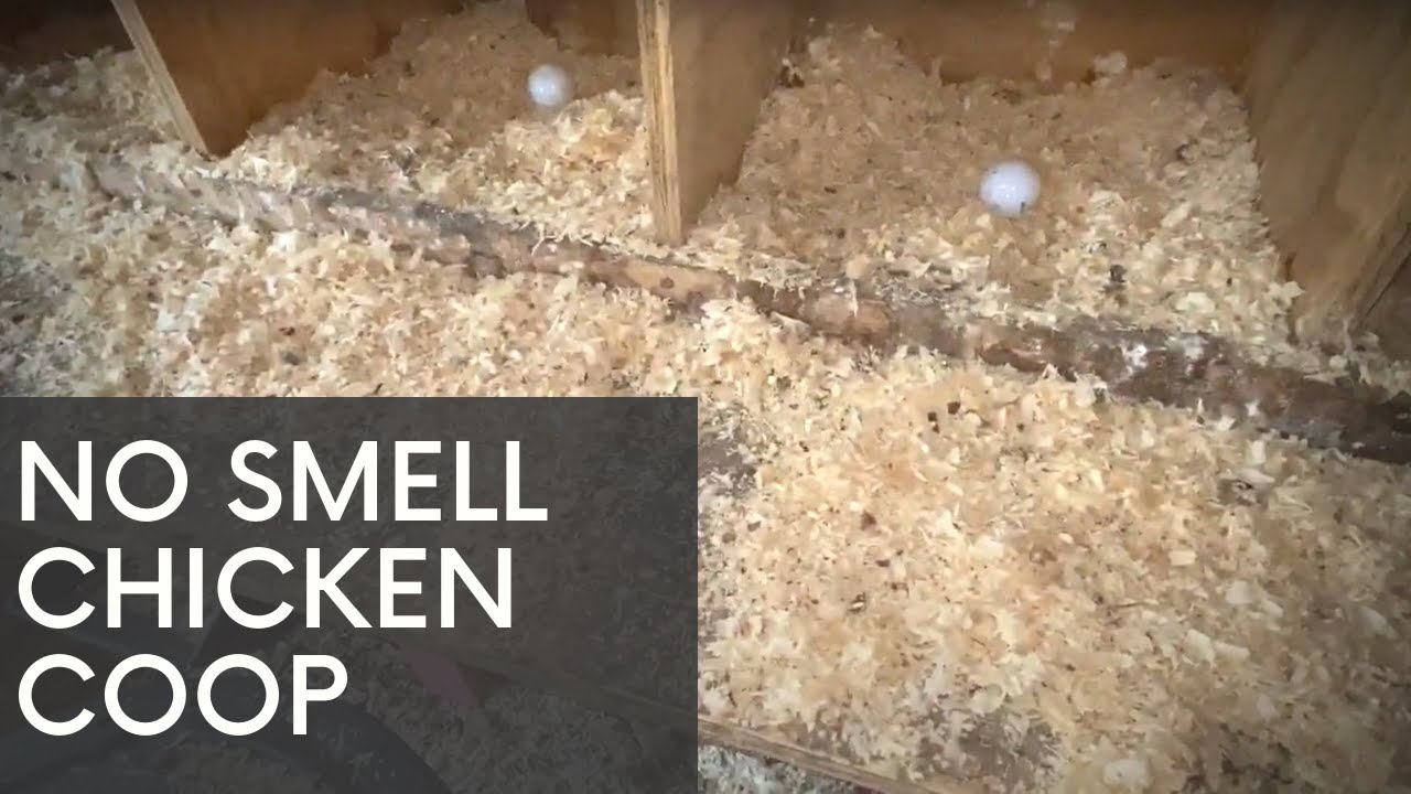 How We Keep The Chicken Coop From Smelling