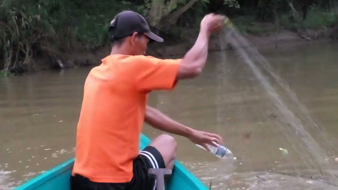 angkat pukat @ jaring ikan lampam, pukat sudah di pasang lintang, sungai dah surut