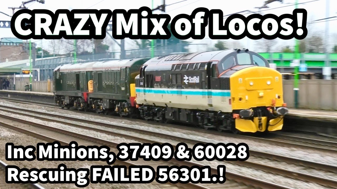 NINE Loco Types! Including SCOTRAIL 37409, Minions, 60028 Rescue of FAILED 56301 & More! 12/01/24