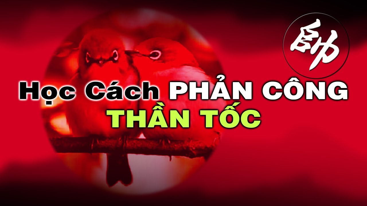 Học Những CÁCH ĐÁNH PHẢN CÔNG Thần Tốc Hay Nhất Trong Cẩm Nang Cờ Tướng Khai Cuộc Đi Hậu