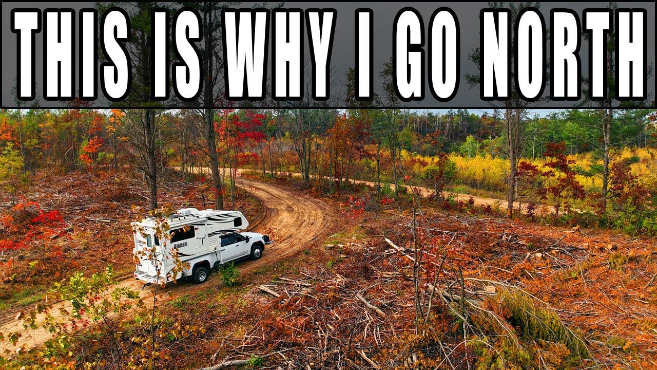 Perfect Fall Day in the Woods  Fire, Steak & Solitude