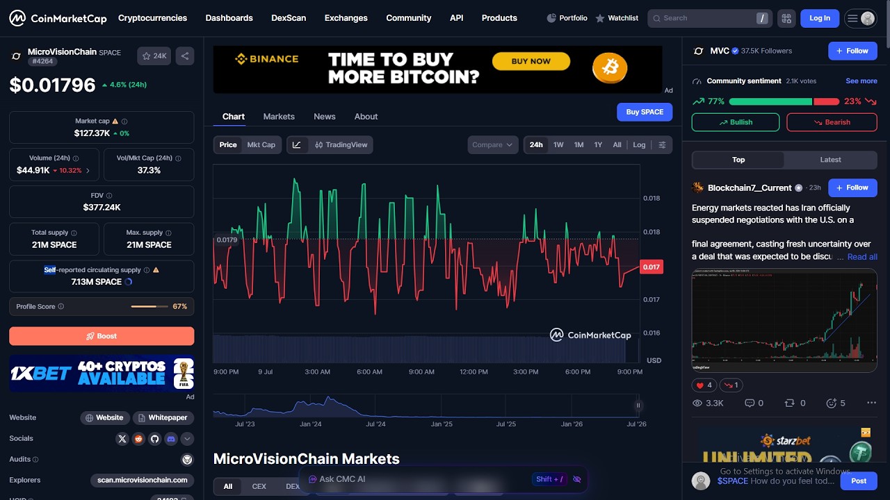 MicroVisionChain ($SPACE) &mdash; это реальный проект или скам??