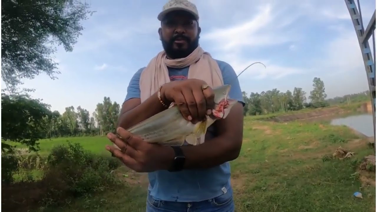 Big Patan Fish Catches in Spoon | Patan Fish Hunting | Cat Fishing - Jansui Head Ambala