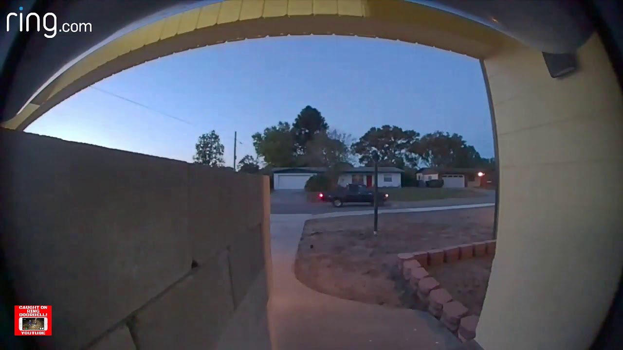 Caught on Ring Doorbell - Package Thief