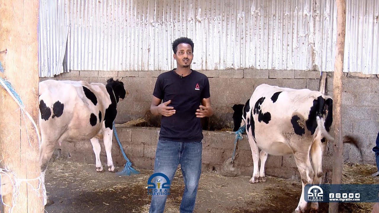ኣብ ስራሕቲ ምርባሕ እንስሳ ተዋፊሩ ዝሐሸ  ቁጠባዊ ዓቕሚ ከም ዝፈጠረ ኣብቲ ዓውዲ ዝተዋፈረ መንእሰይ ገሊፁ።