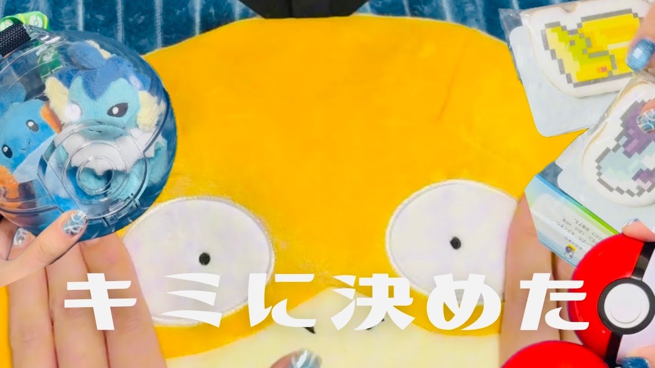 【ポケパーク購入品】厳選と勢いで買ったら、神引きして最後に愛は勝つって話