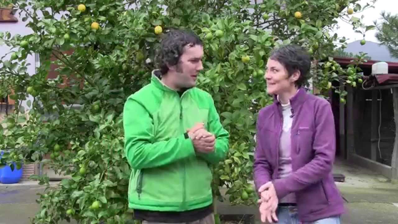 Qué es la Agricultura Regenerativa//Llevamealhuerto.com