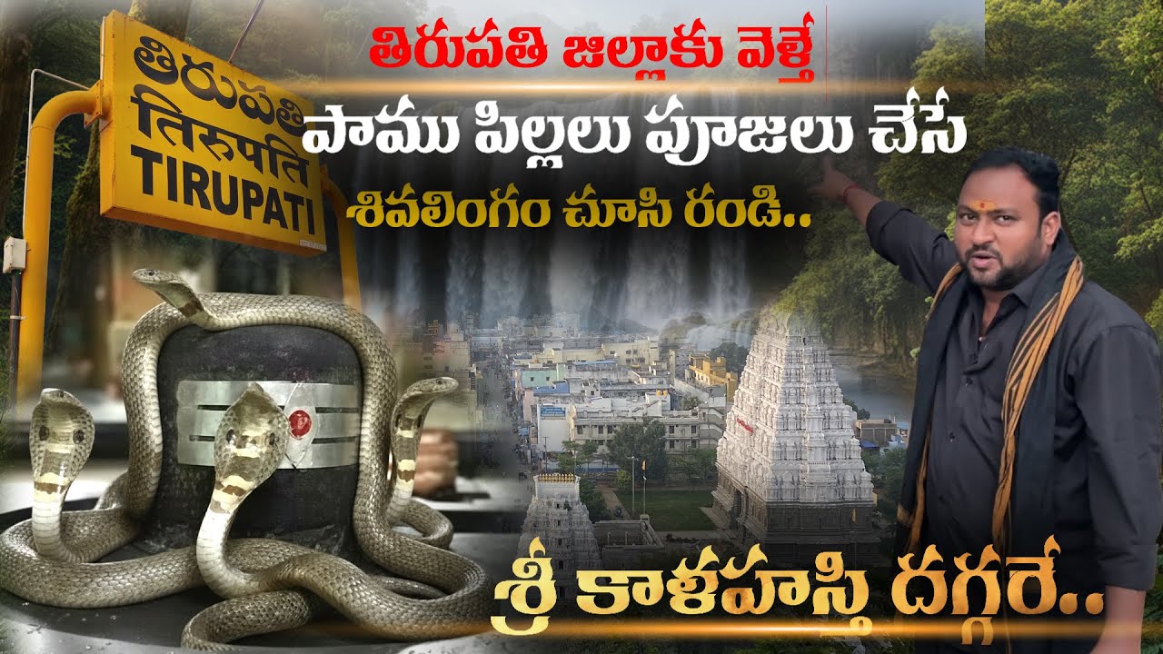 తిరుపతి వెళ్తే పాము పిల్లలు పూజలు చేసే శివలింగం చూసి రండి..శ్రీ కాళహస్తి దగ్గరే.. | Sri Kalahasti