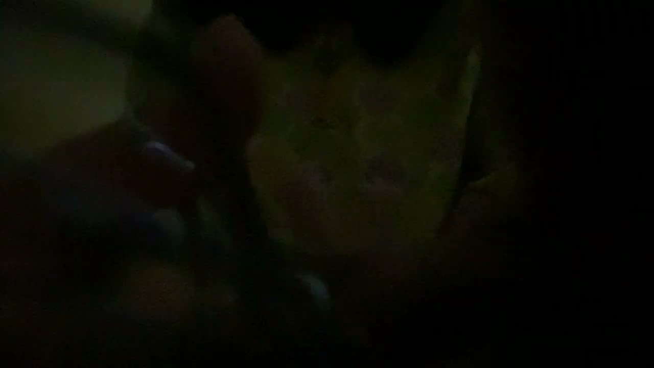 ASMR tapping and scratching on random objects (no talking) (lowk fast and aggressive) (low quality)