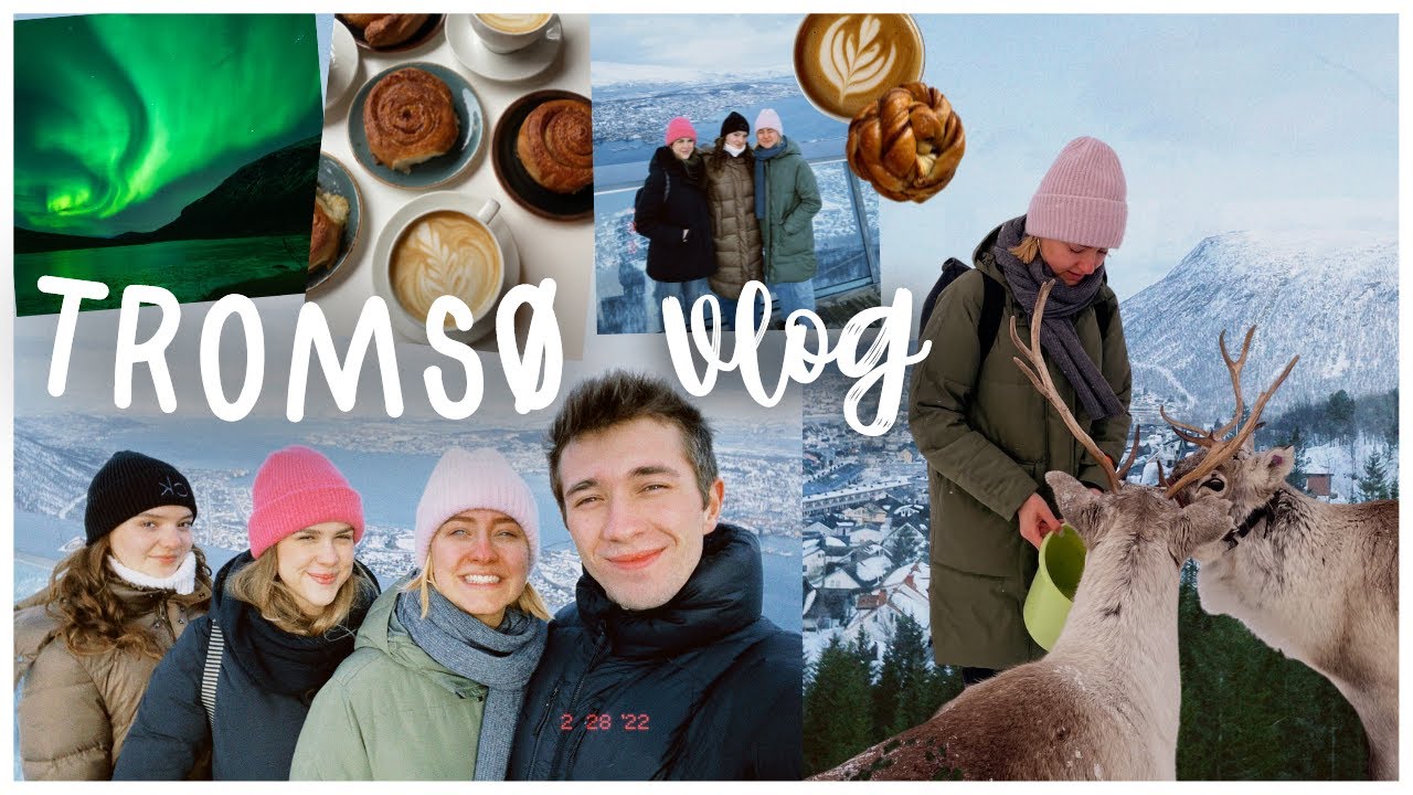 TROMS&Oslash;, Norway VLOG - Rentiere, Eisbaden & Sauna, Nordlichter, viele Zimtschnecken // REISE VLOG