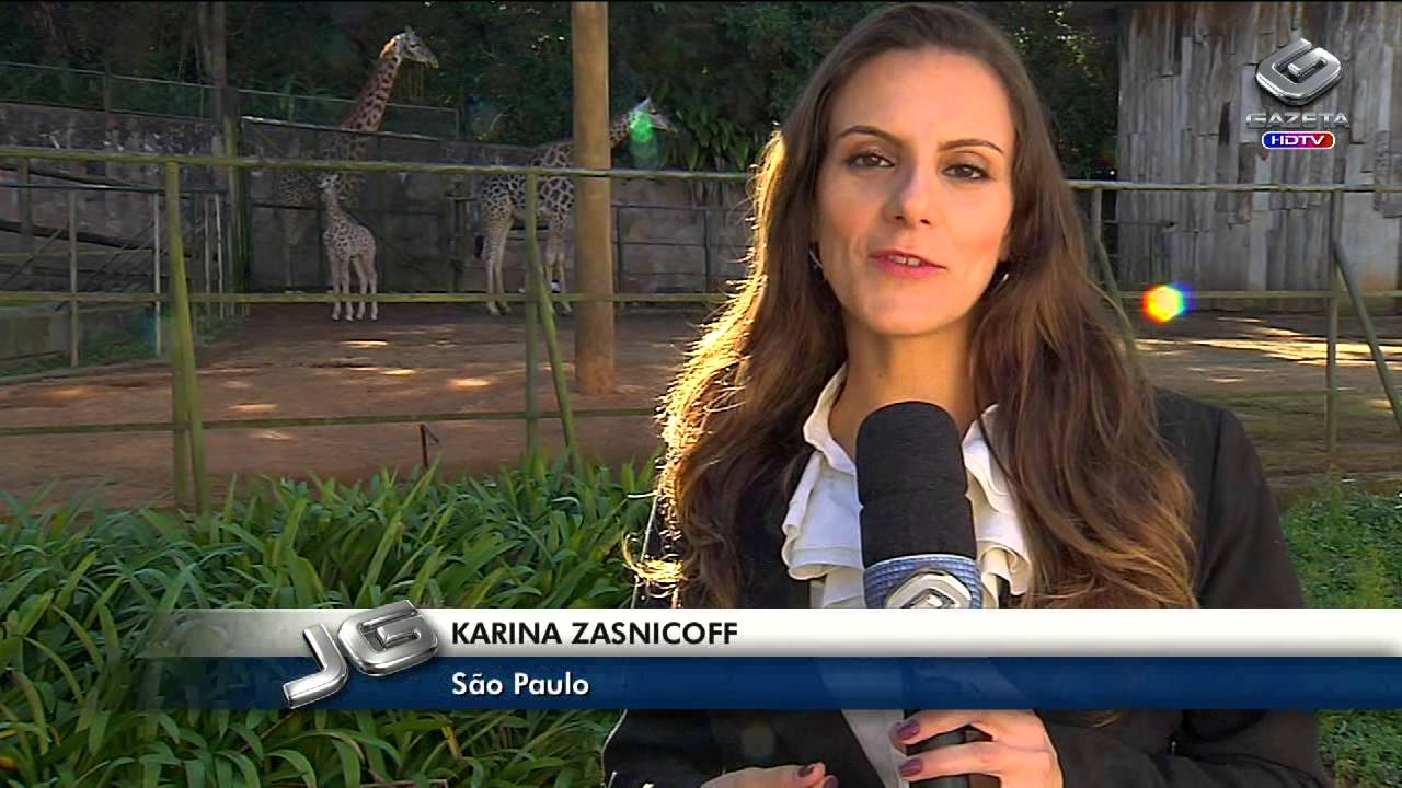 Bebê girafa é o novo mascote do Zoológico