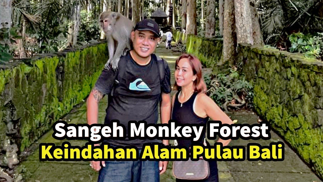 Sangeh Monkey Forest. Keindahan Alam Pulau Bali Update