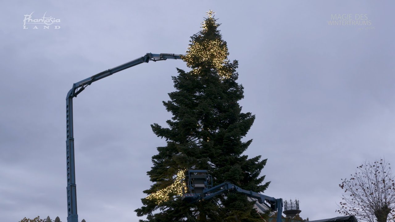 Magie des Wintertraums 2017 - Tag 12: Lichterketten für den Baum