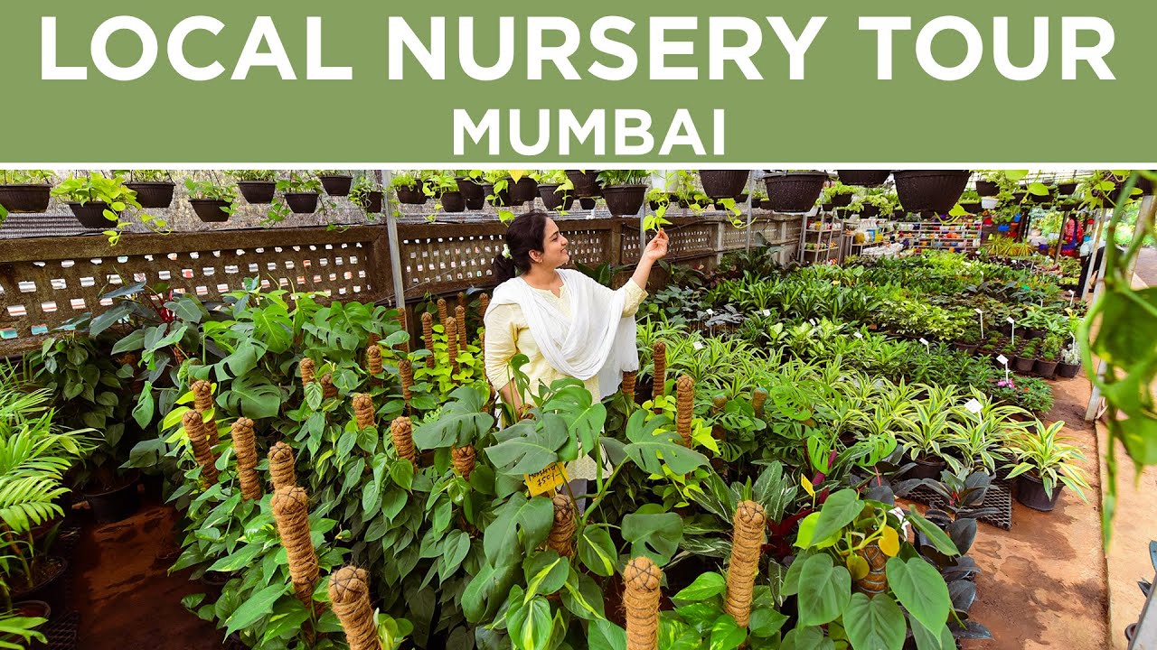 Local Nursery Tour Mumbai | Plant Tour | Rare Plants | Mumbai Plants